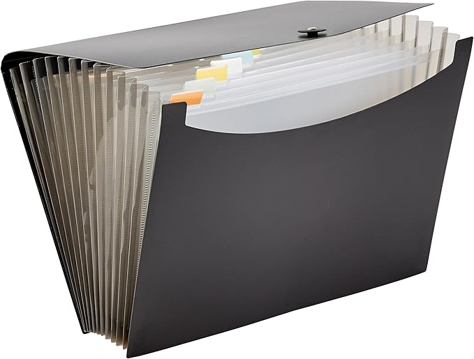 Amazon Basics Expanding Organizer File Folder - Image 2